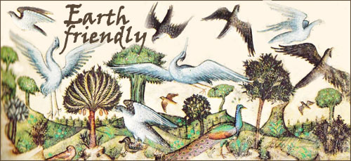 Earth-friendly: Creation of Birds by artist Belbello da Pavia (Italian, 1430-1473)